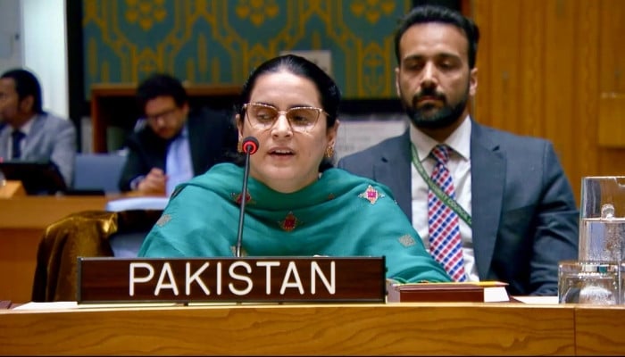 سلامتی کونسل میں پاکستان کا بھارت پر دہشت گردی برآمد کرنے اور اقلیتوں کو نشانہ بنانے کا الزام