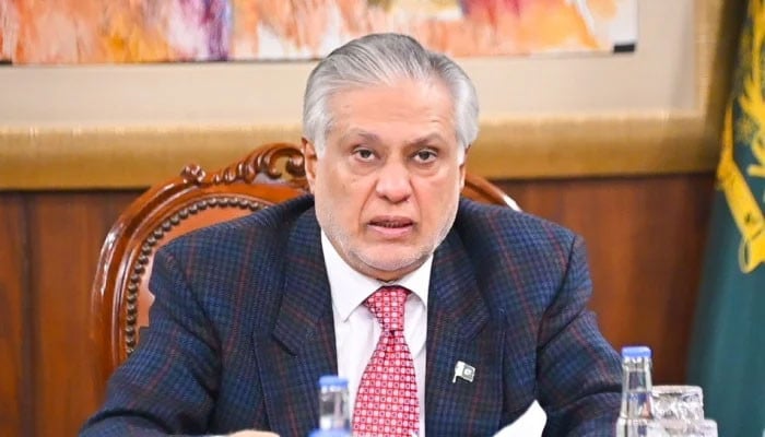 ڈپٹی وزیراعظم اسحاق ڈار کا صومالیہ سے پاکستانی ملاحوں کی فوری رہائی کا مطالبہ