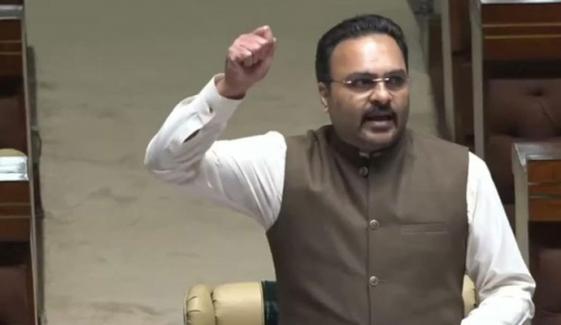 سندھ اسمبلی میں ہنگامہ: فرحان انصاری کی پیپلز پارٹی پر تنقید، شرجیل میمن نے پین پھینک دیا