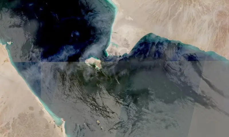 پاکستان نے حوثیوں کی سعودی عرب اور بحیرہ احمر میں تجارتی جہاز رانی کو دھمکیوں کی شدید مذمت کر دی