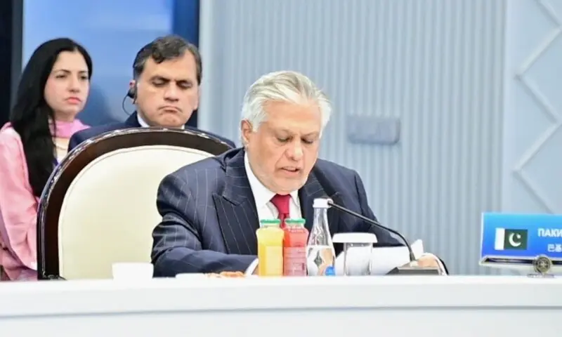 ایس سی او اجلاس: افغانستان سے دہشت گردی کے خاتمے سے ہی امن ممکن، اسحاق ڈار