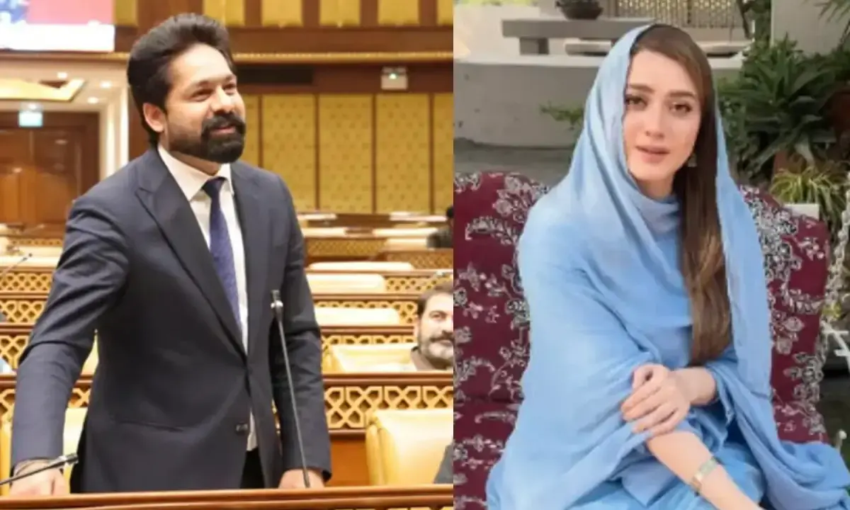 لاہور: ایم پی اے ثاقب چدھڑ اداکارہ مومنہ اقبال کو ہراساں کرنے کے مرتکب قرار، این سی سی آئی اے کا عدالت کو آگاہ