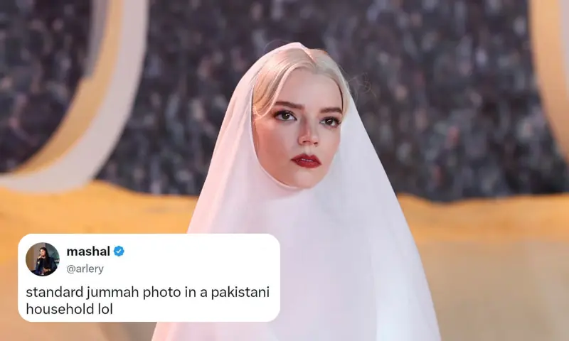 ڈون 3 کی وائرل تصویر نے انٹرنیٹ پر ہنگامہ برپا کر دیا: حقیقت یا محض مداحوں کا کمال؟