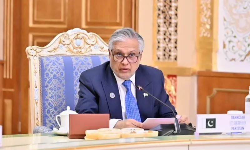شنگھائی تعاون تنظیم: اسحاق ڈار کا عالمی معاشی جھٹکوں سے نمٹنے کیلئے قومی کرنسیوں کے استعمال پر زور
