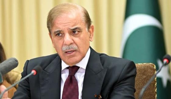 دانش اسکولوں کے معیار پر کوئی سمجھوتہ قابل قبول نہیں ہوگا، وزیراعظم شہباز شریف